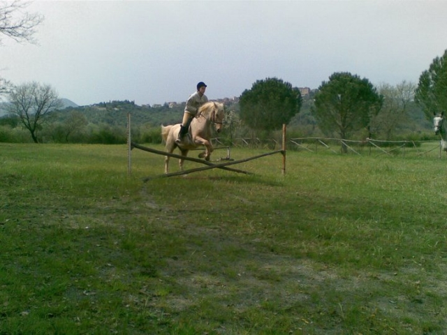  Descubriendo los spas 